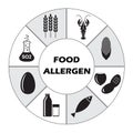 Food allergen icons set isolated on white background. Infographics template. Vector illustration. Royalty Free Stock Photo